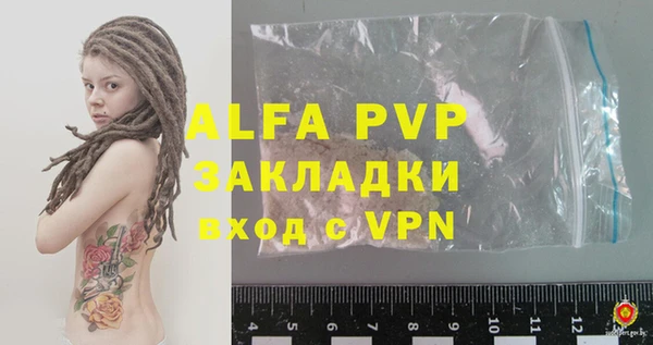 гидра Белокуриха