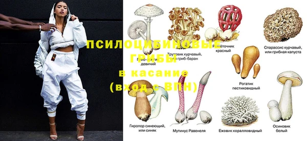 не бодяженный Беломорск