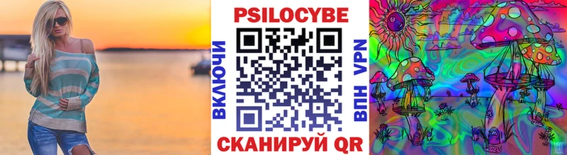 Галлюциногенные грибы Psilocybine cubensis  Нерехта 
